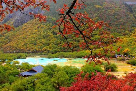 飞九寨,两晚喜来登大酒店一晚川主寺加绒鑫宫