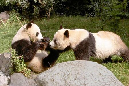 成都蜀都大厦宾馆5日自助游 市中心的高楼层酒