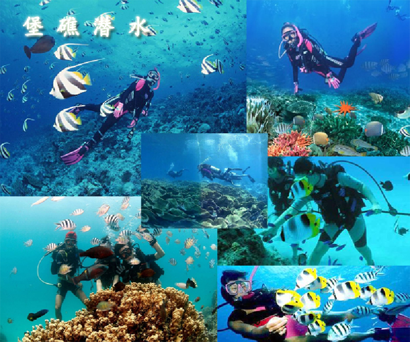 壁纸 海底 海底世界 海洋馆 水族馆 桌面 600_500
