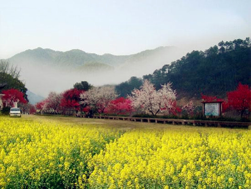 歙县雄村人口_歙县雄村学校图片(3)
