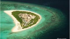 请问L签可以参加南京直飞香港的…_已解决_南