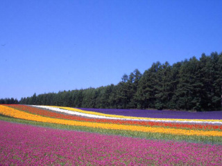 ļ