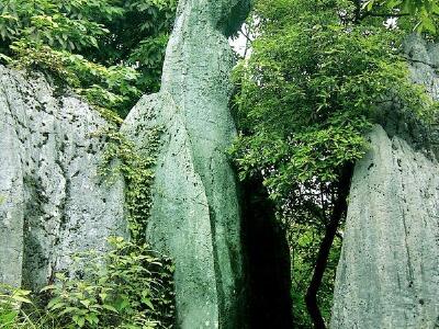 美女峰森林公园旅游攻略