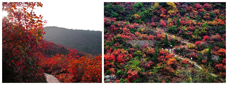 竹林长寿山景区