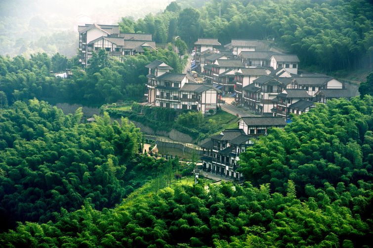 重庆永川茶山竹海