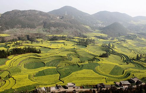 福鼎金鸡山