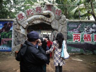 长沙鳄鱼馆攻略_长沙游玩攻略大全