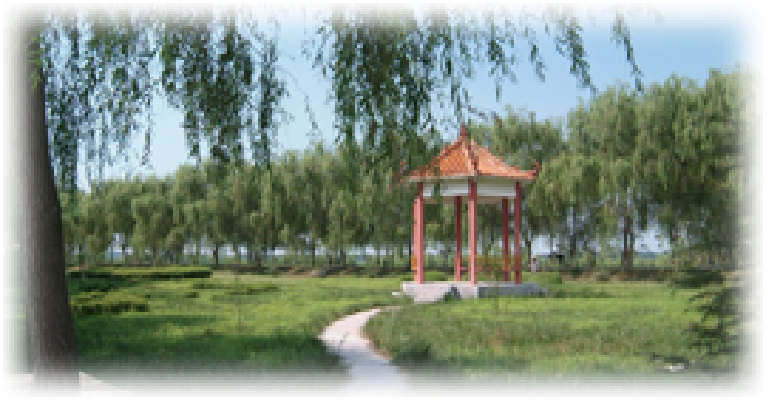 原阳县