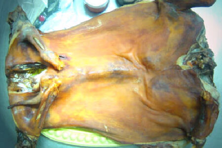 food_picture