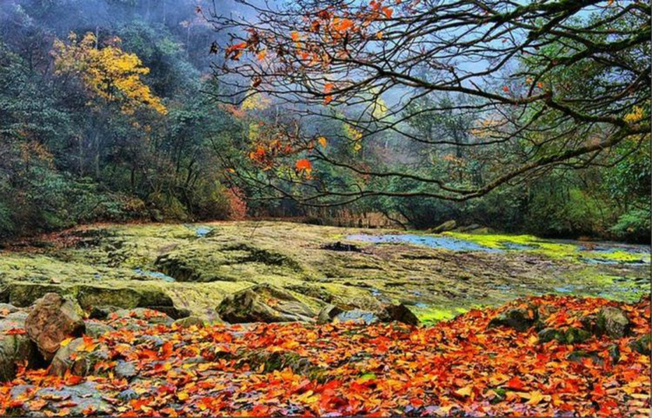 小草坝