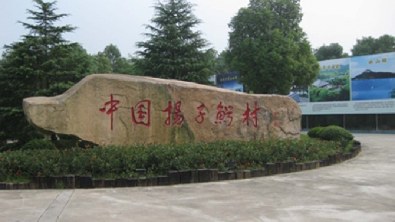 gdp增速_2018年 长兴县gdp(2)