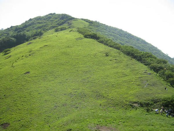 牛背梁国家森林公园 绿色山顶