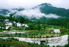 景点模块 