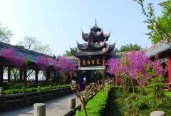 景点模块 