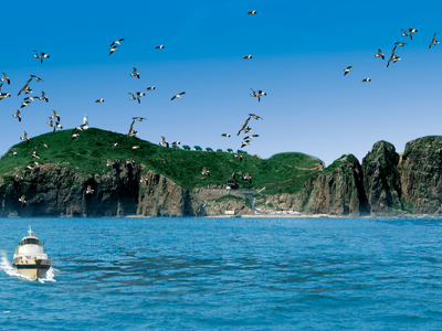 【2018】7月去荣成市哪儿最好玩_荣成市旅游景点大全