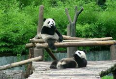 景点模块 
