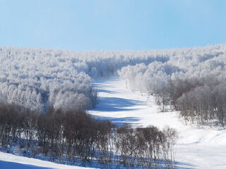  张家口塞北多乐美地滑雪场自驾2日游>宿多乐美地山景