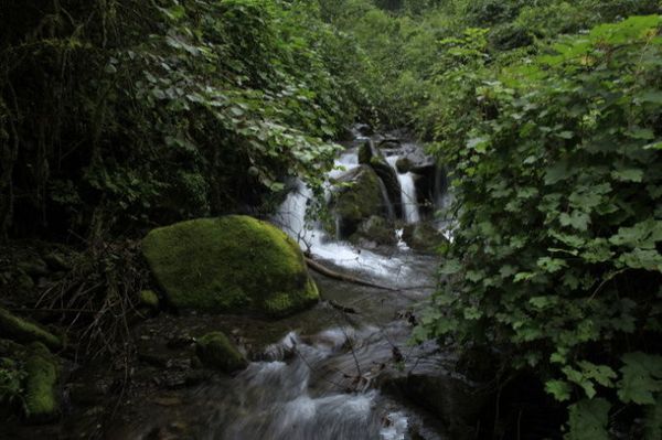 2小时 地址:中国四川省成都市崇州市 鞍子河自然保护区