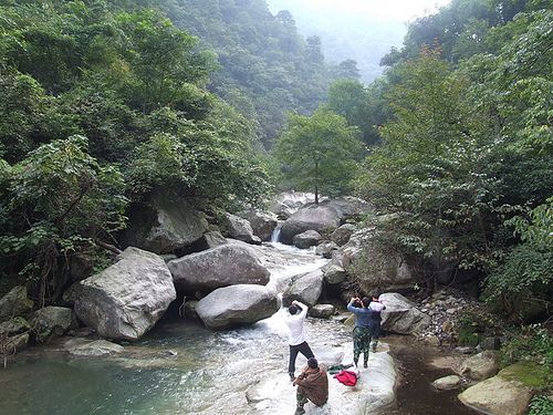 > 亚洲 > 中国 > 湖南 > 永州图片 > 阳明山主页旅游攻略 已全部加载