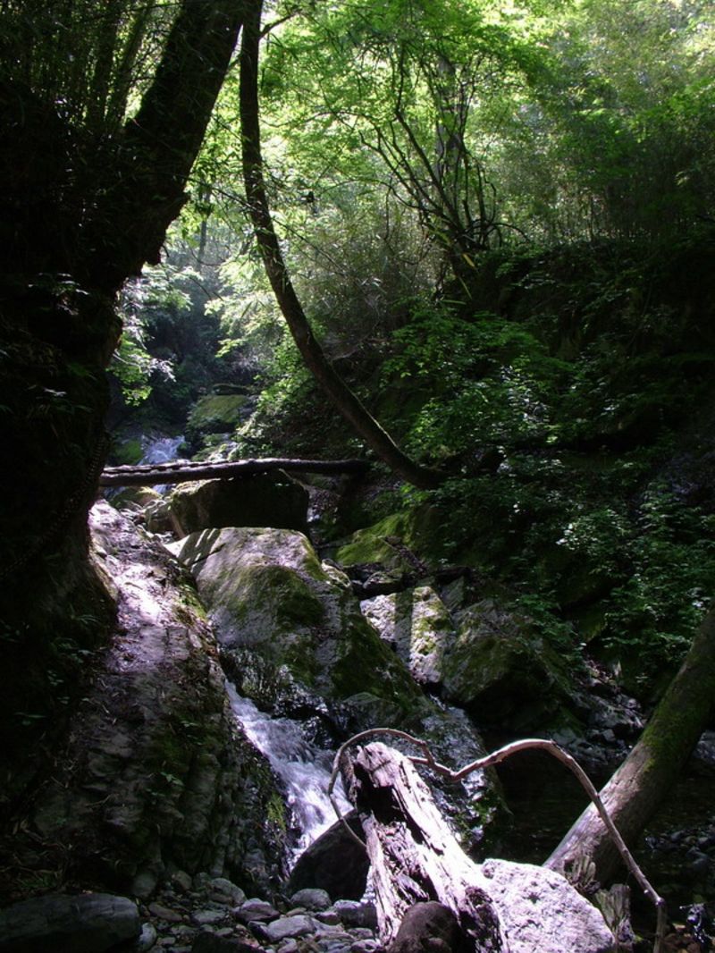 五龙洞国家森林公园