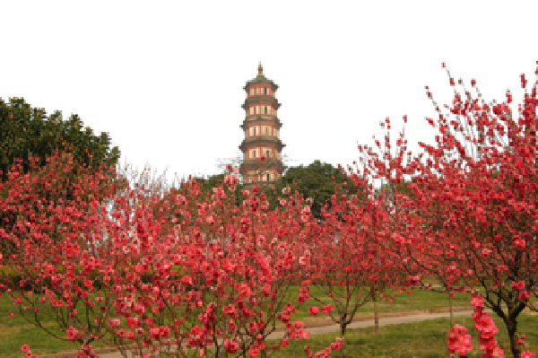 番禺区旅游景点大全_2014番禺区旅游景点介绍