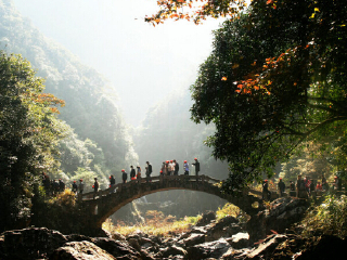 温州楠溪江龙湾潭森林公园