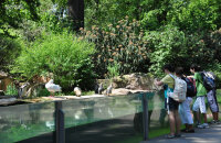 参观布氏动物馆