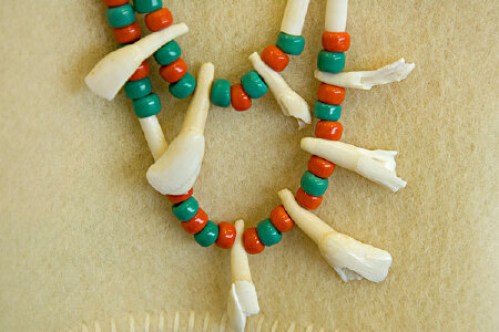 food_picture