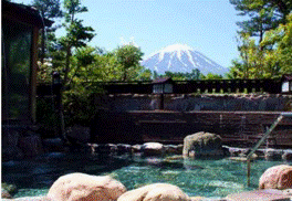 <日本东京箱根1日游>体验日式温泉（平时）