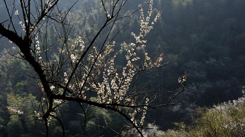 南昌梅岭主峰