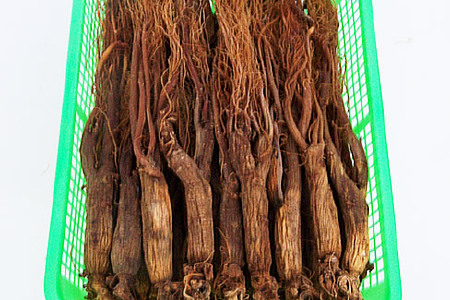 food_picture