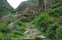 漫步千年古驿道