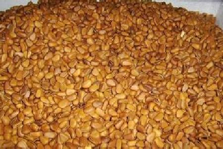 food_picture