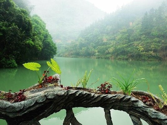 【同安区图片】同安区风景图片