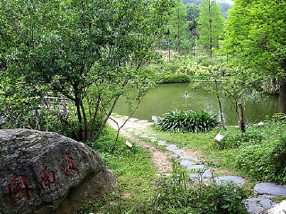 ɽ羰 