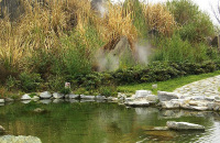 参观截流园纪念馆