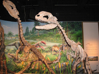 香港科学馆旅游攻略_2014香港科学馆自助游攻略