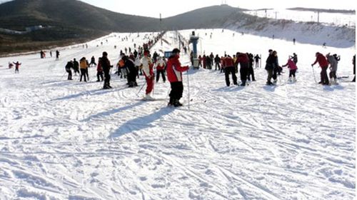  秦皇古道滑雪场1日游>石家庄最实惠的滑雪场,天天发团