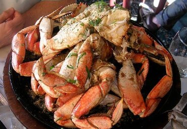 旧金山老面包_哪里好吃_正宗_多少钱