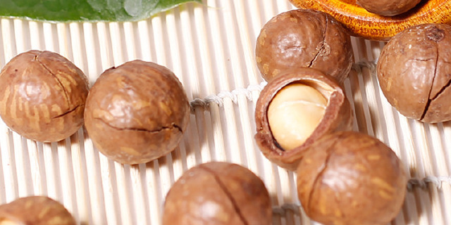 澳洲坚果(macadamia nuts)
