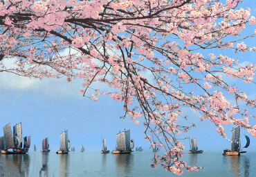 ̫羰
