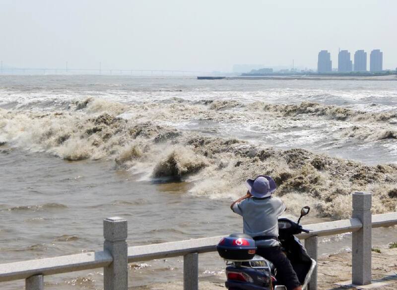 【浙江v攻略攻略】观潮盐官金网单机攻略图片
