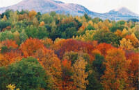 走访《十面埋伏》取景地