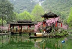 景点模块 