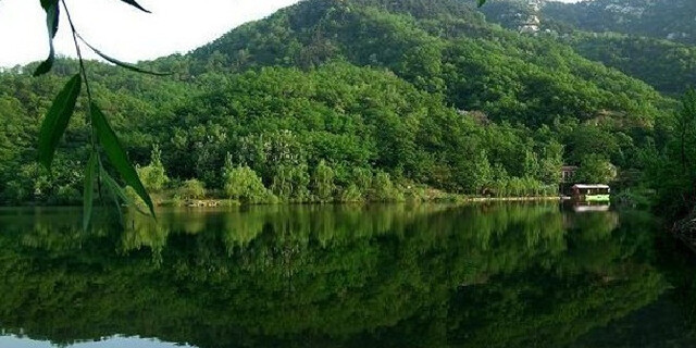 ɽɽ羰ξȫ