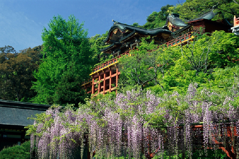 茨城县旅游攻略2015_ 茨城县自助游攻略_茨城县哪有好玩的地方