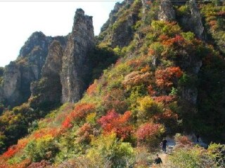 蒙阴蒙山云蒙景区1日游 潍坊出发 天然氧吧