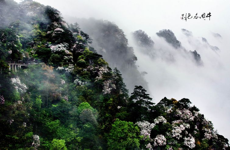 井冈山杜鹃山索道