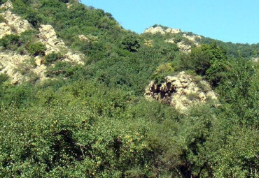 开原象牙山旅游景区远山