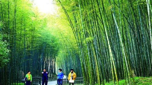 宜兴竹海-宜兴云湖风景区大觉自驾2日游宿宜兴水墨田园温泉度假酒